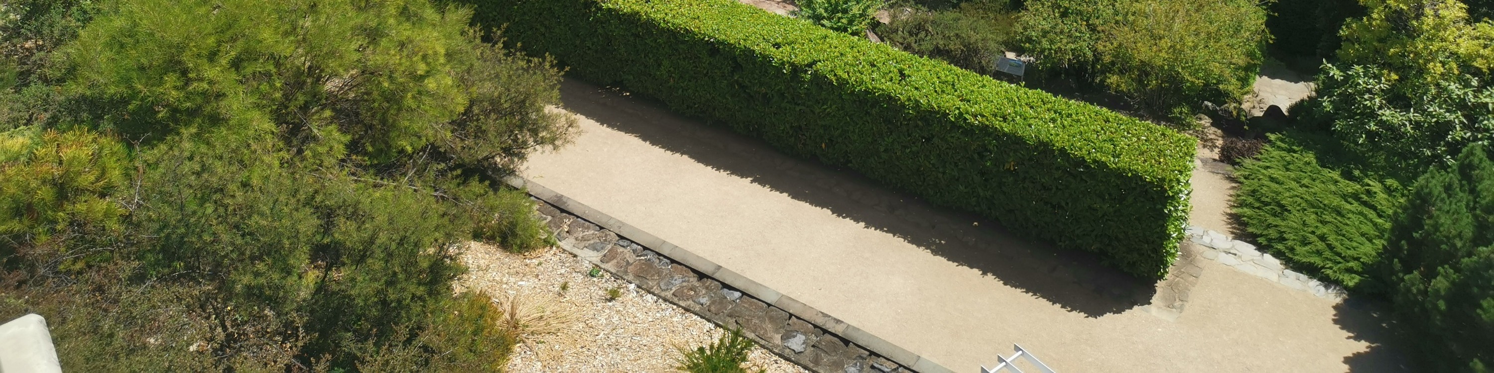 藍山國家公園徒步探索之旅