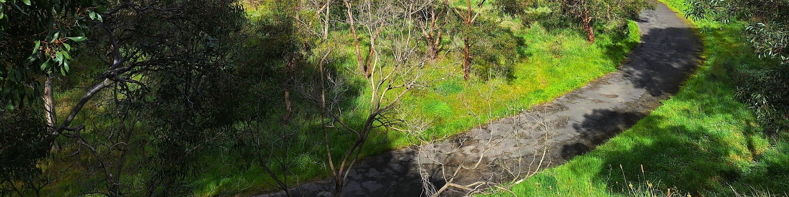 Yarra River Walk & Heritage Convent Experience