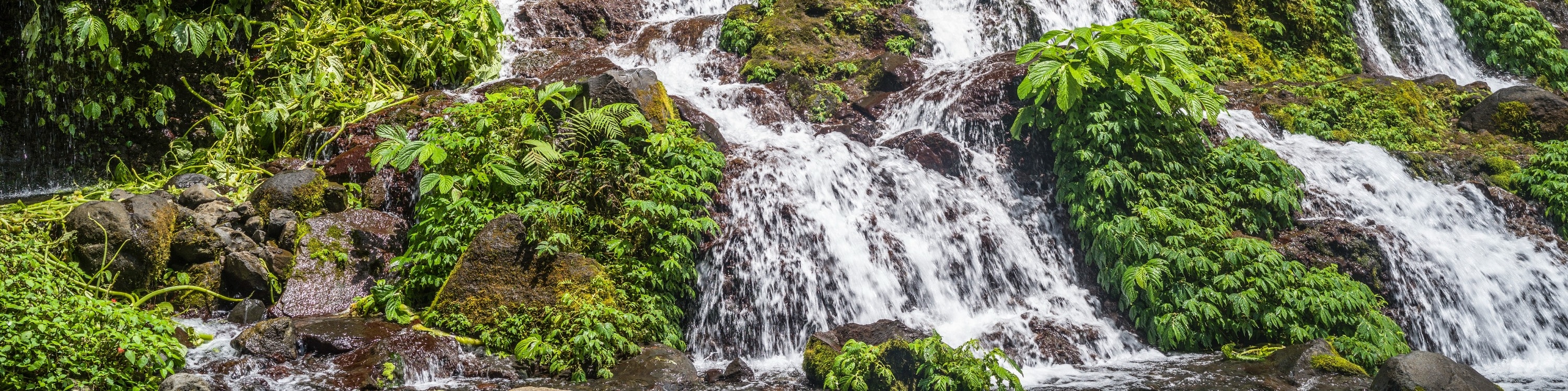 龍目島 Benang Stokel 和 Benang Kelambu 瀑布之旅