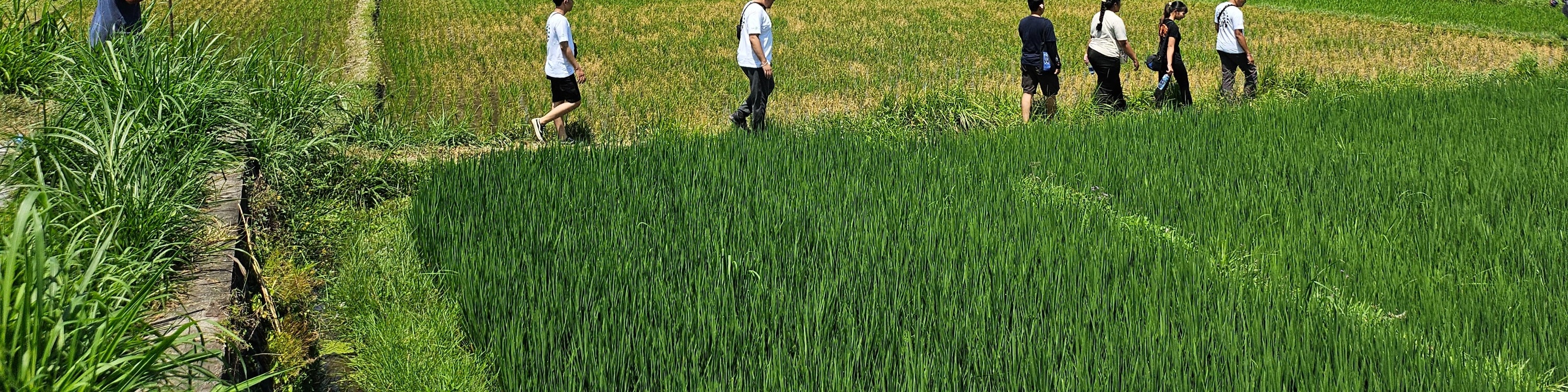 巴厘島鄉村徒步之旅