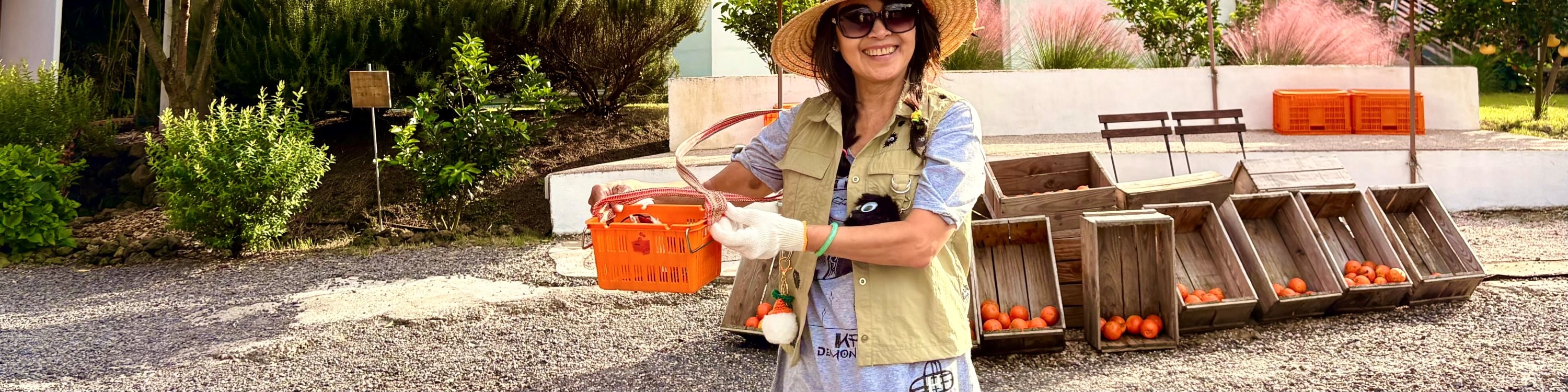 在柑橘咖啡廳結束您的一天，這裡有濟州柑橘園中蘊藏的奇思妙想。品嚐新鮮果汁，享用柑橘風味的甜點，沉浸在這個島嶼最具標誌性的水果的甜蜜精華中。（如果柑橘咖啡廳因故關閉，將更換為胡蘿蔔咖啡廳）