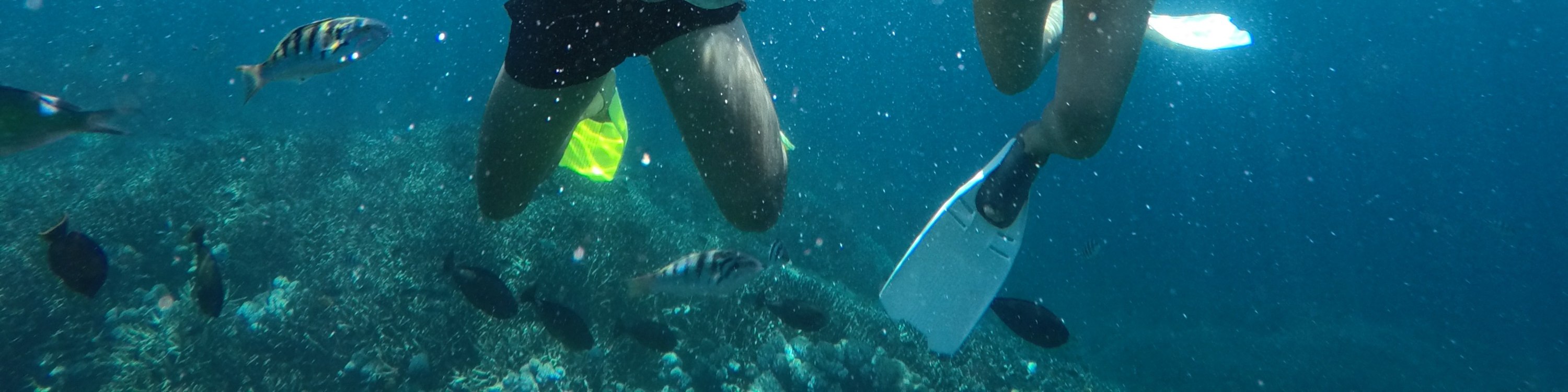 藍夢島4個浮潛點體驗