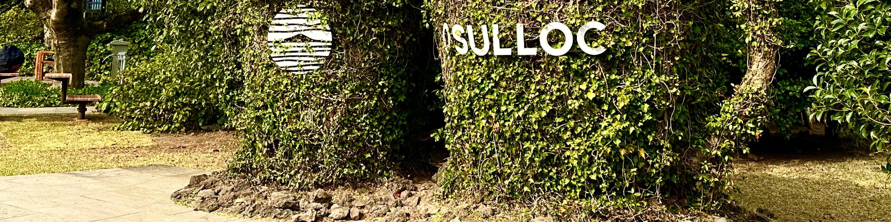 在O’Sulloc綠茶博物館放鬆身心,這裡被鬱鬱蔥蔥的綠色植物和櫻花環繞。 在O’Sulloc綠茶博物館放鬆身心,這裡被鬱鬱蔥蔥的綠色植物和櫻花環繞。