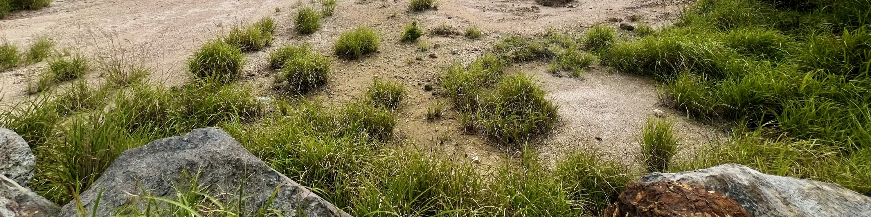 塚原溫泉火口乃湯 塚原溫泉火口乃湯