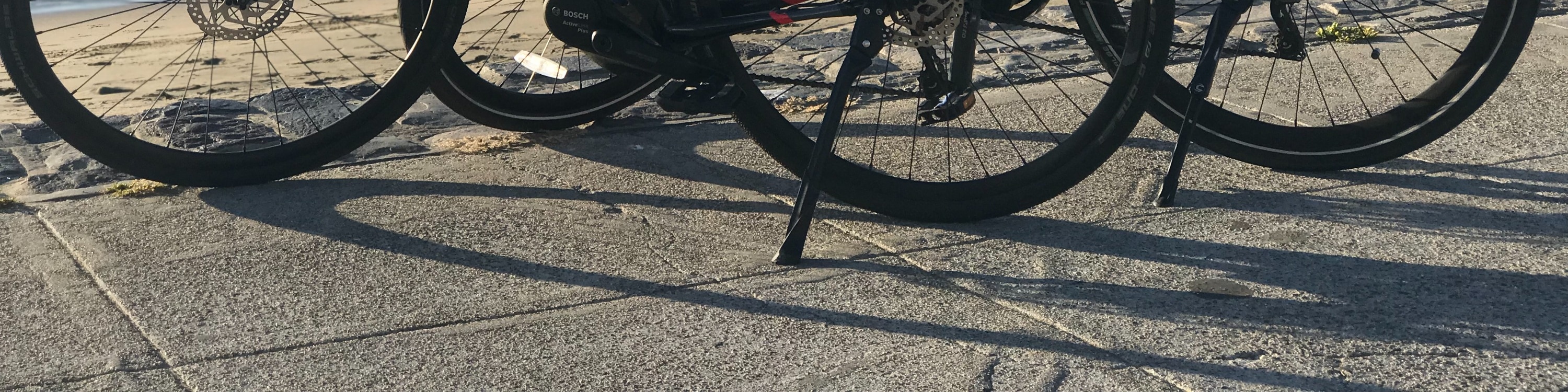 邁阿密海灘電動自行車租賃