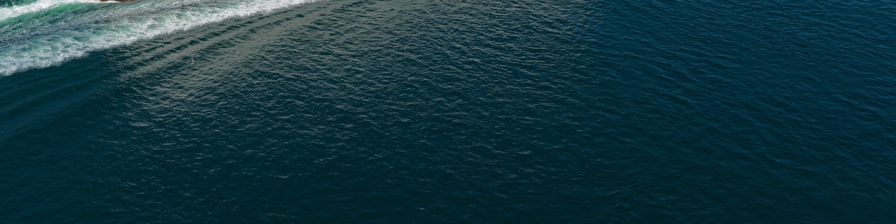 乘坐卑詩渡輪返回，沿途欣賞迷人的海灣群島和迷人的海岸風光