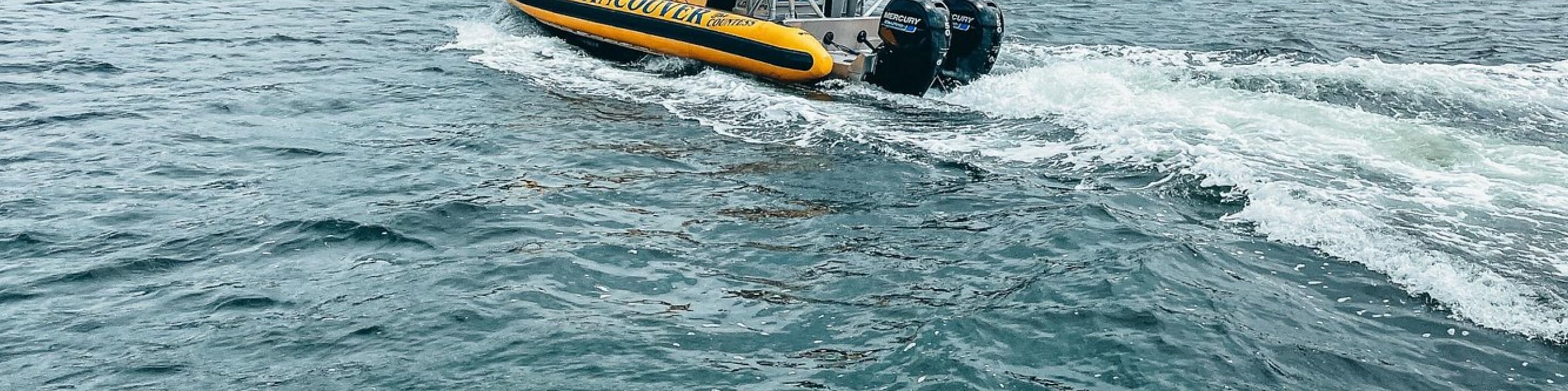 Enjoy a small group experience with personalized attention from your sailing guide