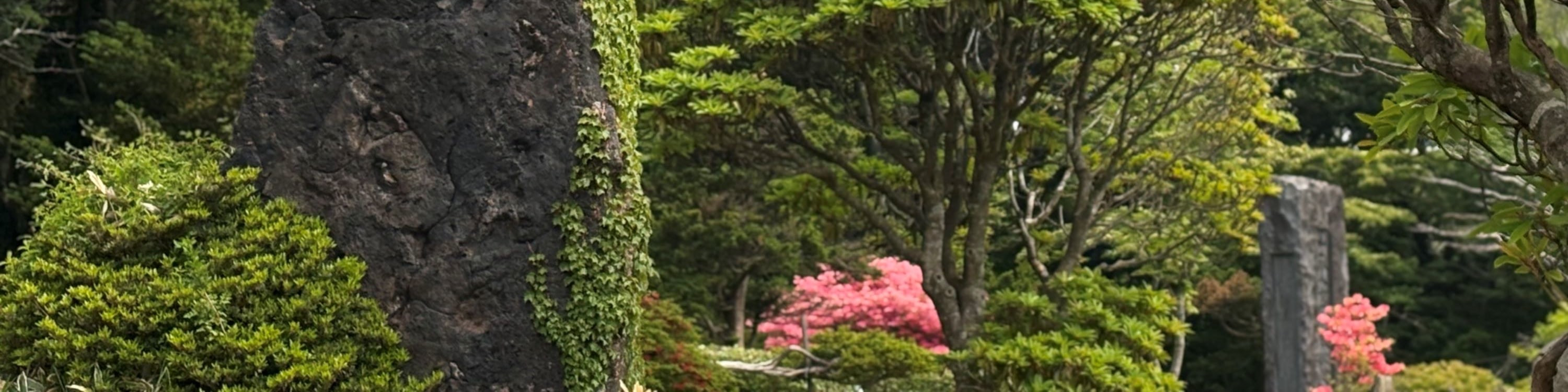 濟州賞櫻及草莓採摘小團一日遊