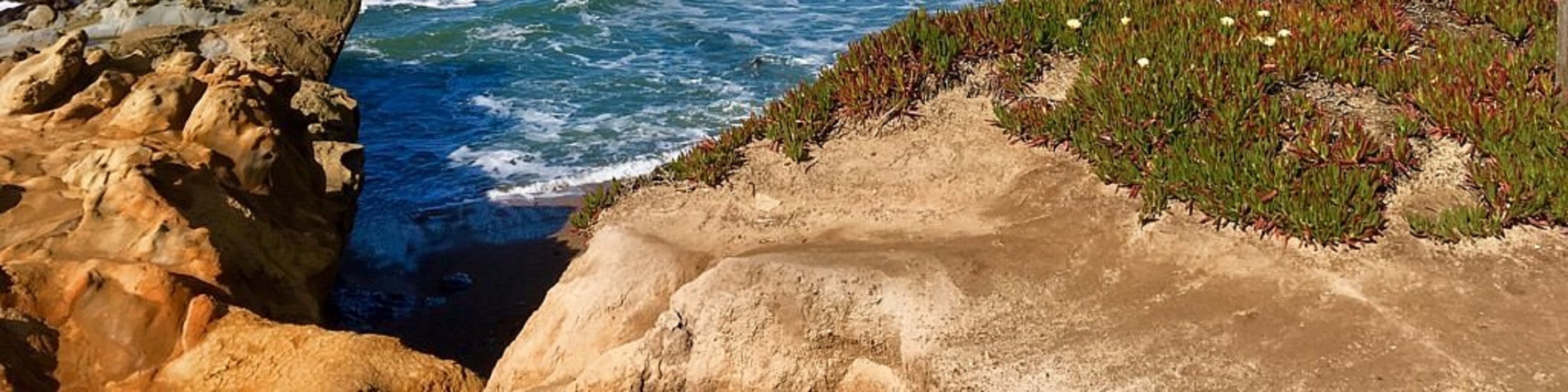 17-Mile and Pebble Beach Day Tour from Los Angeles
