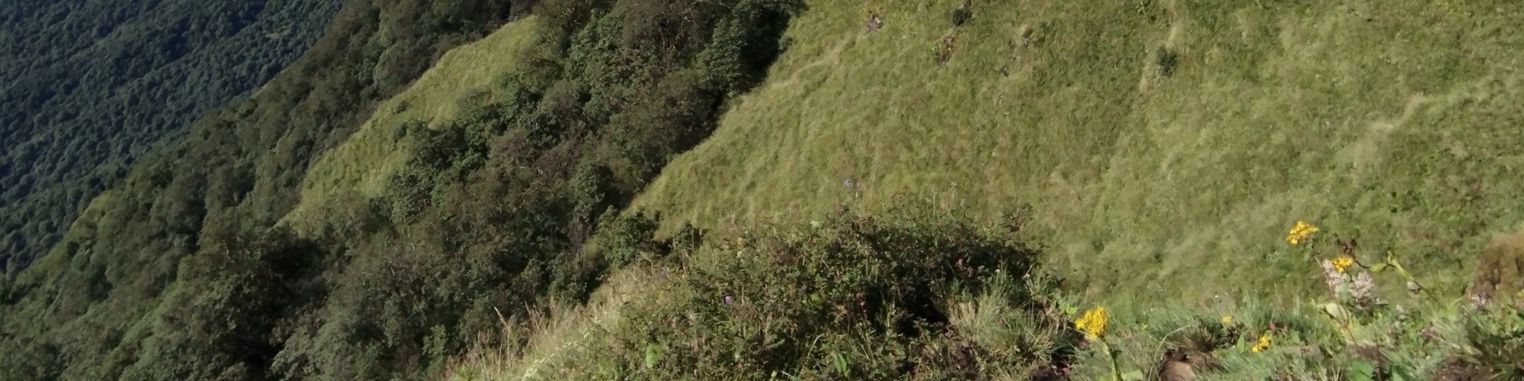 博卡拉：4天馬爾迪喜馬拉雅山徒步之旅