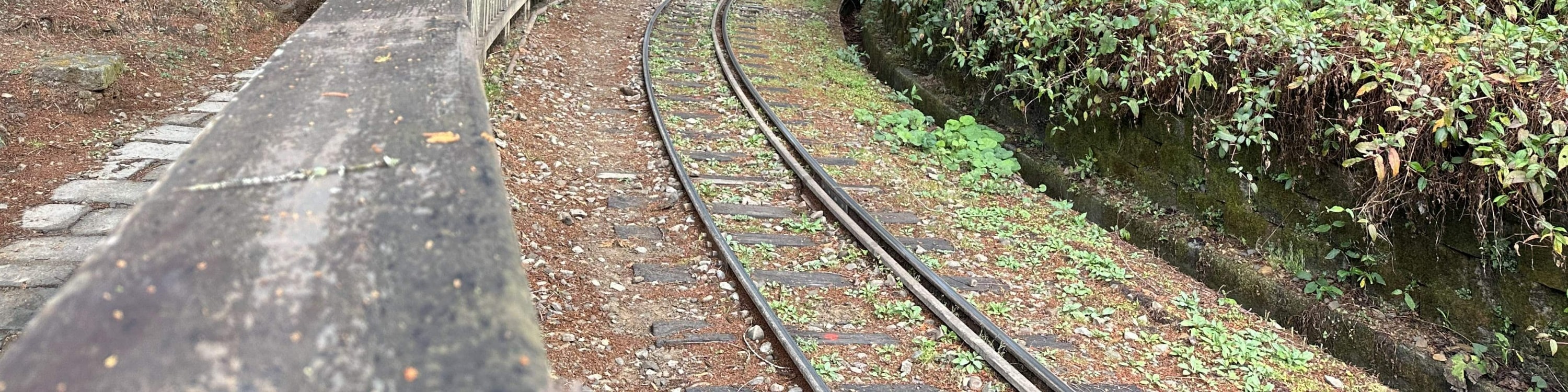 嘉義｜阿里山日月潭三日遊｜台北出發