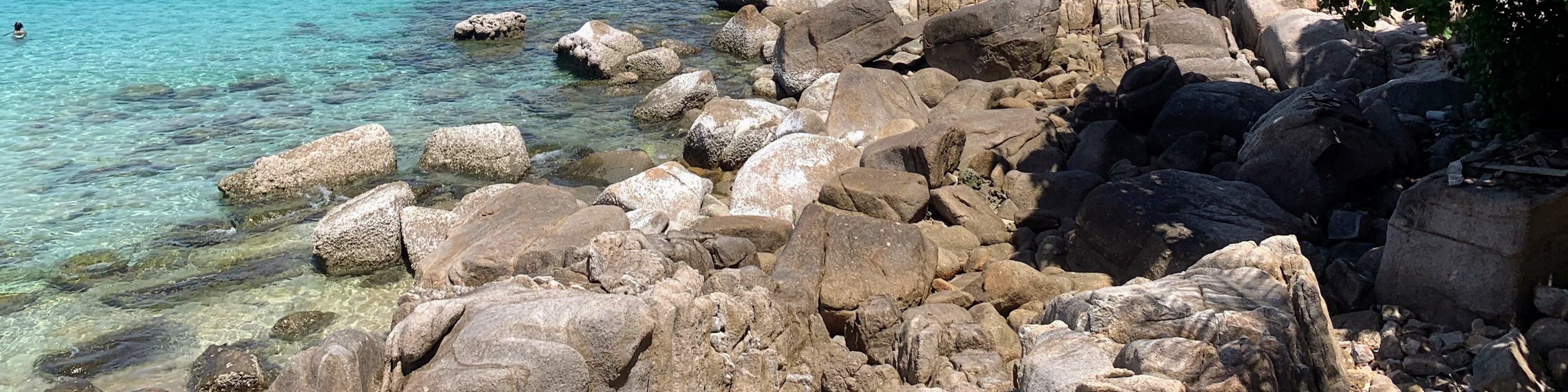 從帕岸島出發的濤島和南園島高級浮潛之旅
