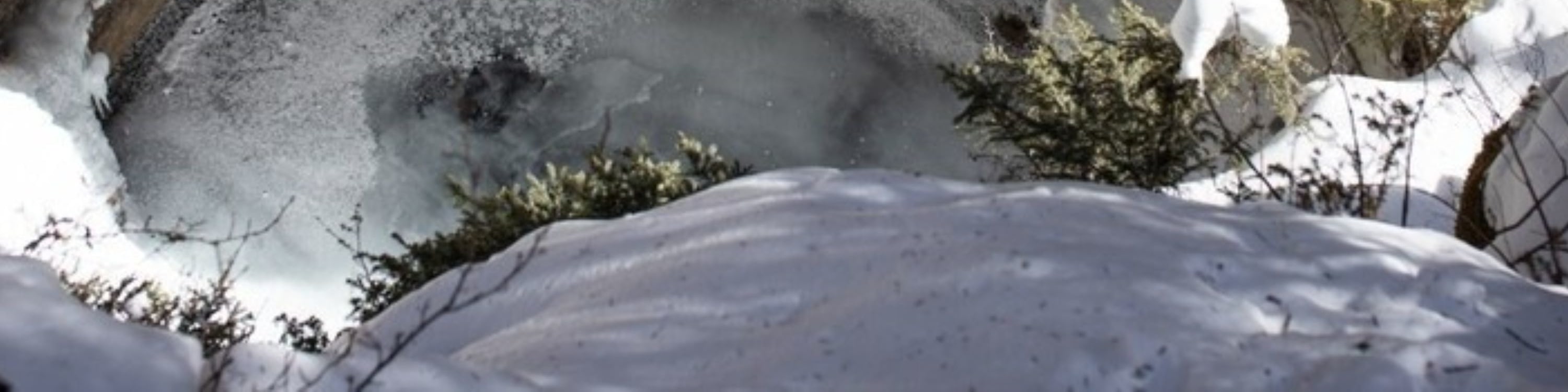 班夫強斯頓峽谷之旅 (Johnston Canyon Tour in Banff)