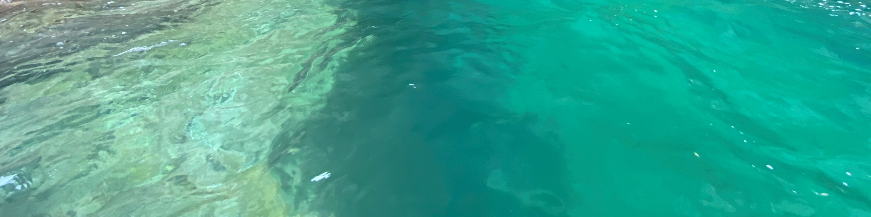 香港東龍島獨木舟探索特色洞穴生態團