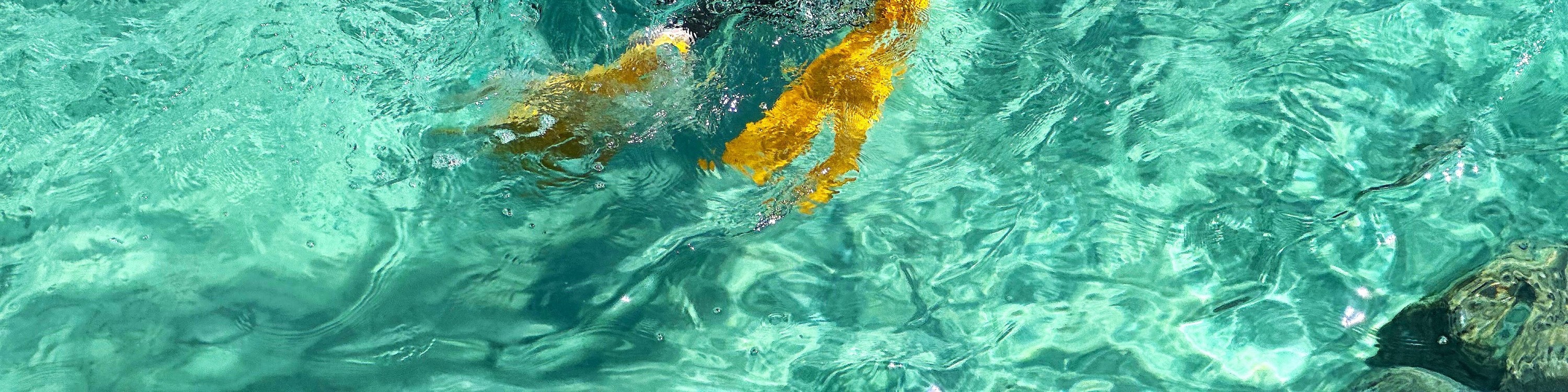 觀看真正的濟州海女潛入水中捕撈海鮮，將是欣賞聯合國教科文組織列為文化遺產的絕佳機會。