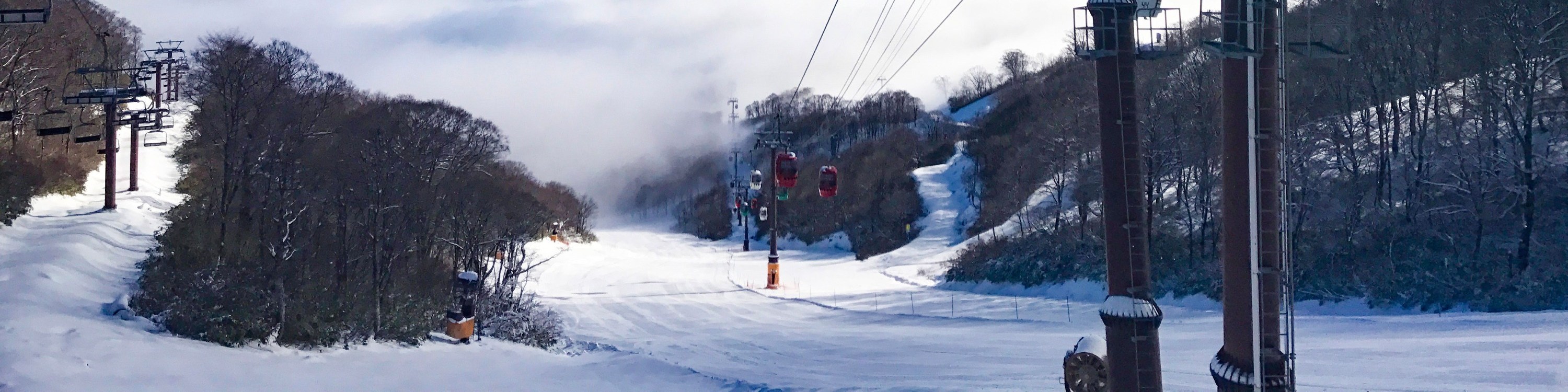 岐阜高須滑雪公園 & Dynaland滑雪場纜車票