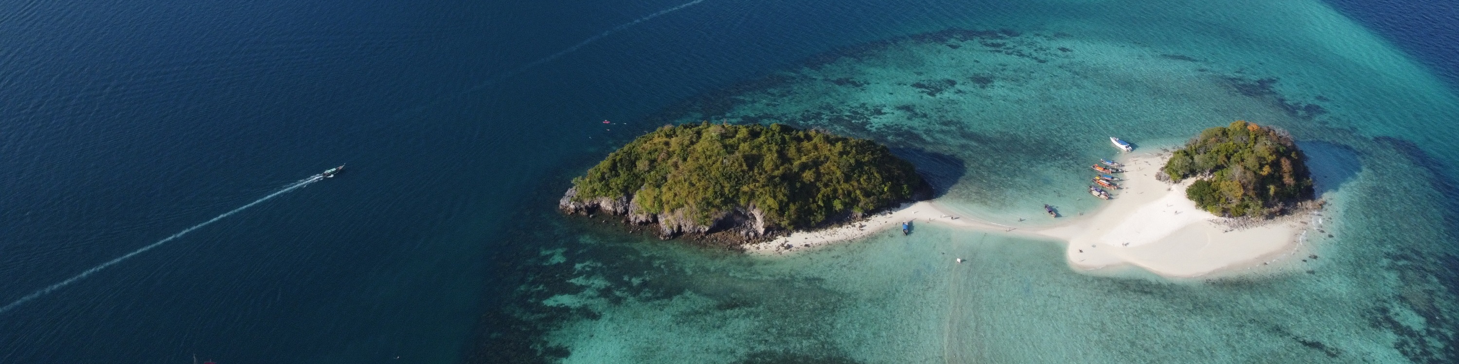 4 島浮潛日落之旅 + 夜晚生物熒光游泳