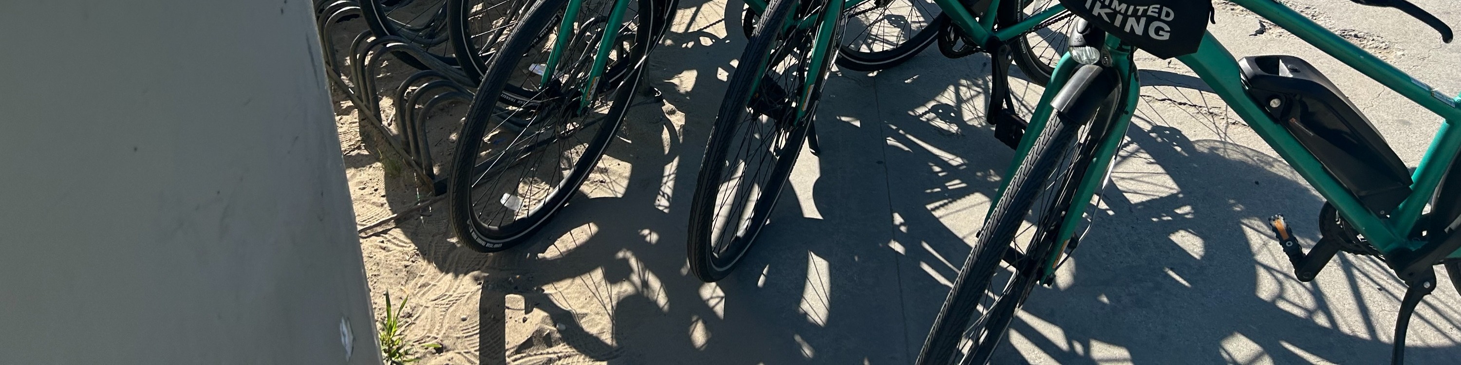 聖莫妮卡 & 威尼斯海灘電動自行車之旅