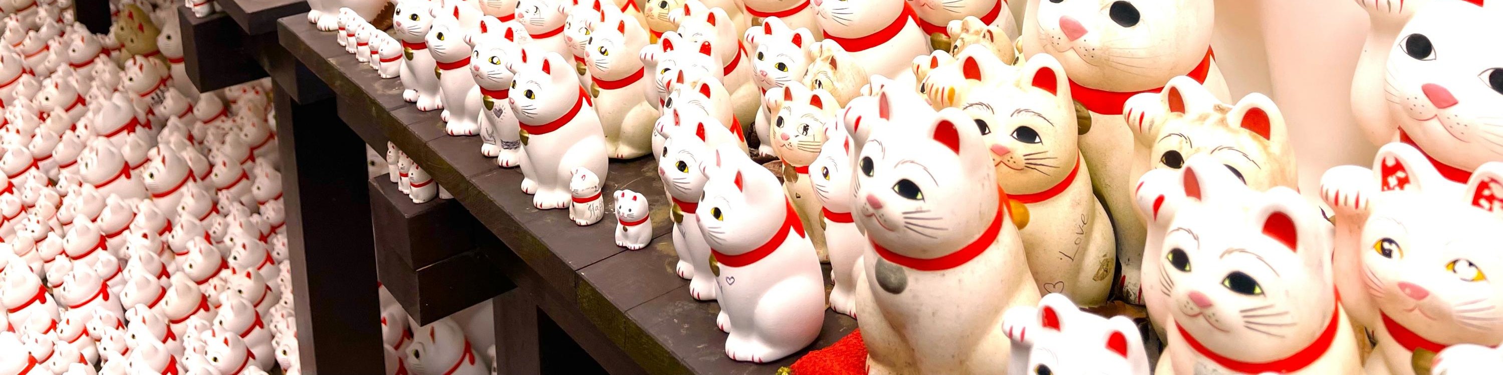 Tokyo Cat Cafe & Gotokuji Temple Half-Day Tour - Thumbnail 41