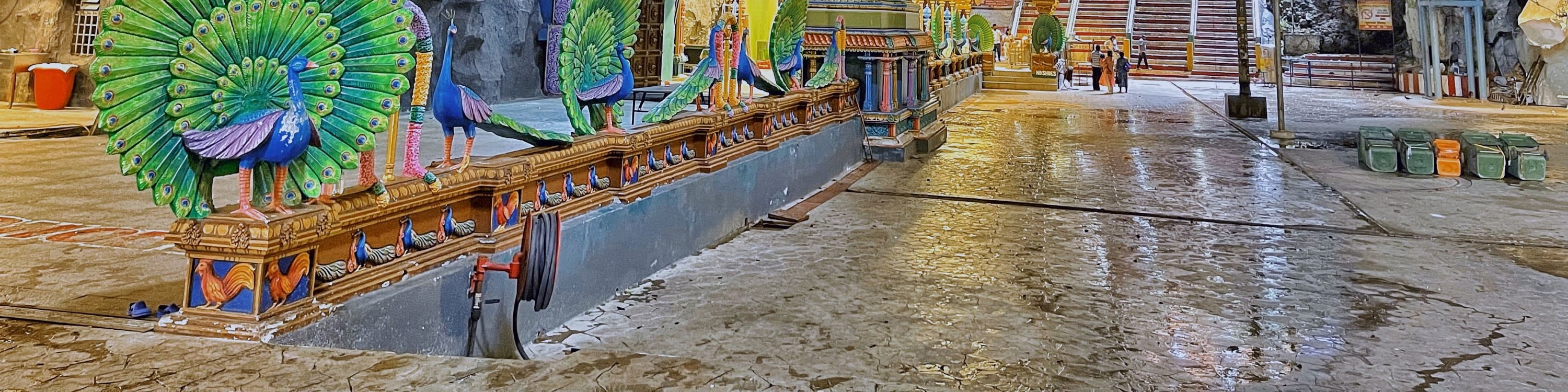 Batu Caves & Colmar Tropicale Full-Day Tour - Thumbnail 15