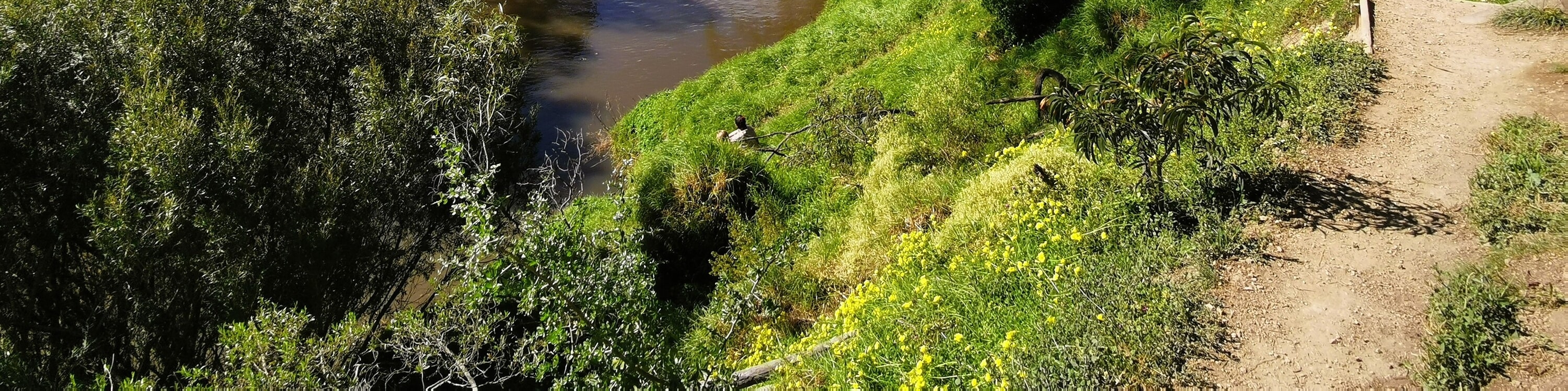 Yarra River Walk & Heritage Convent Experience
