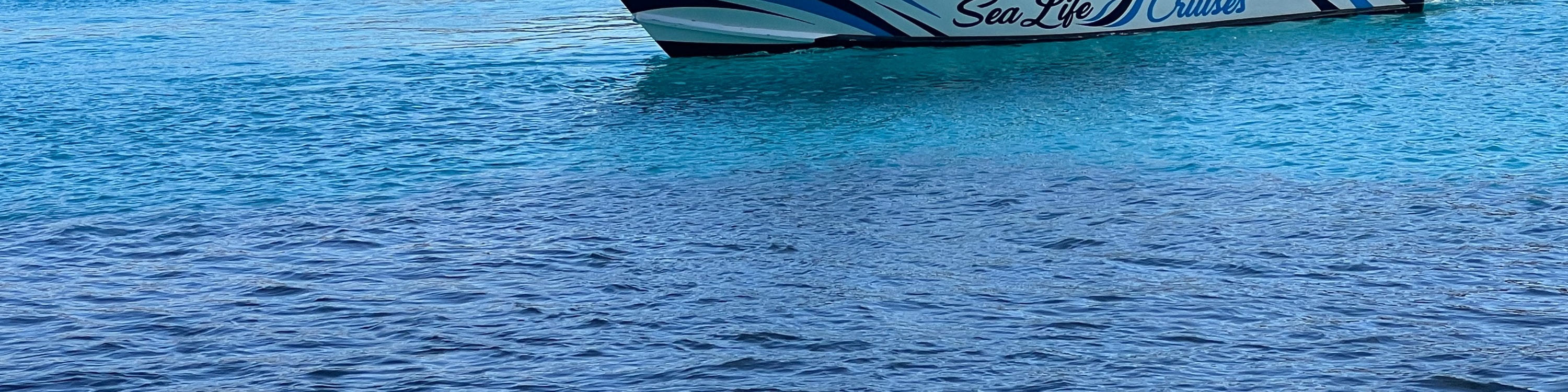 Half Day Cruise Gozo, Comino, Blue & Crystal Lagoons + Caves 