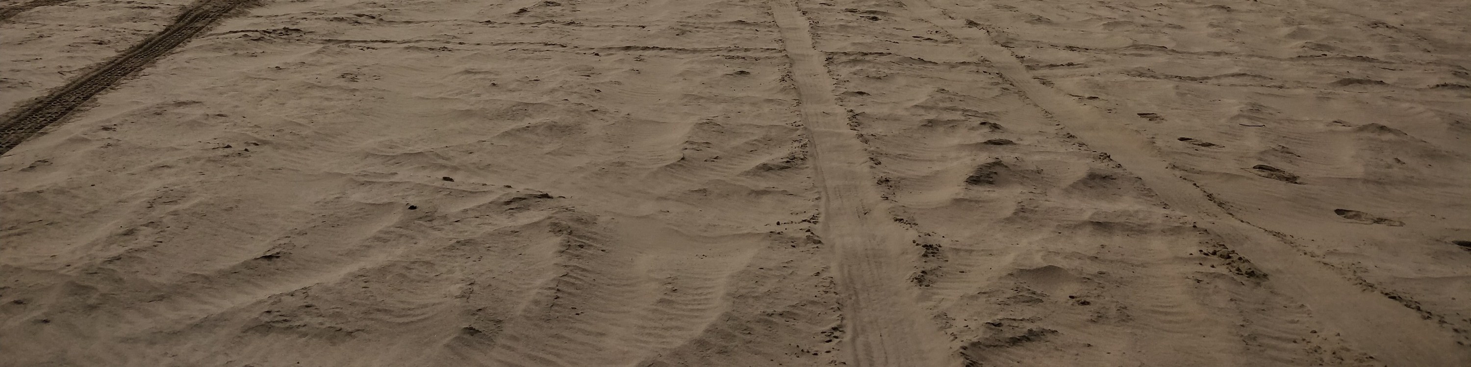  Doha Desert Safari: Thrilling Adventures in the Heart of the Dunes