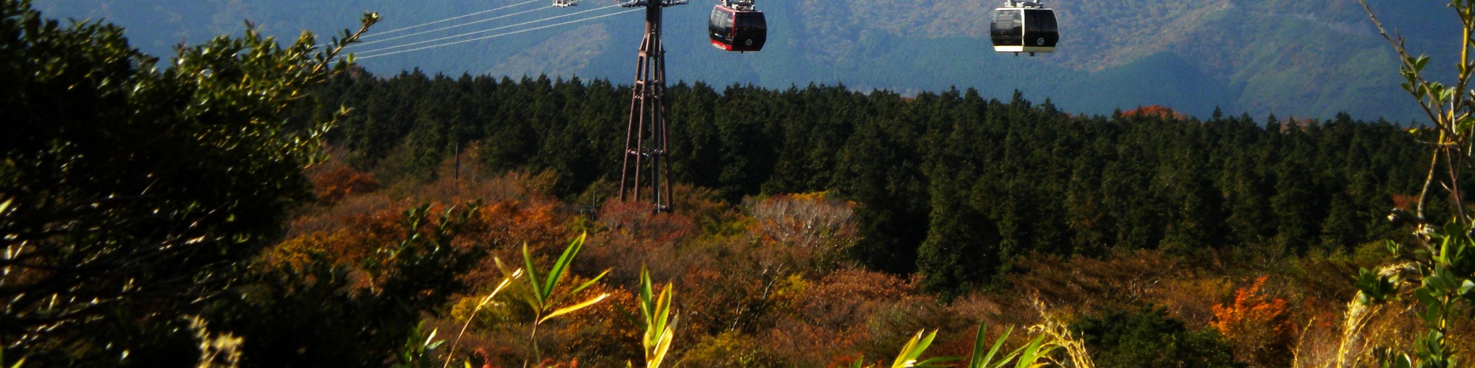 富士山 (Mt. Fuji) & 箱根 (Hakone)  東京 (Tokyo) 出發一日遊