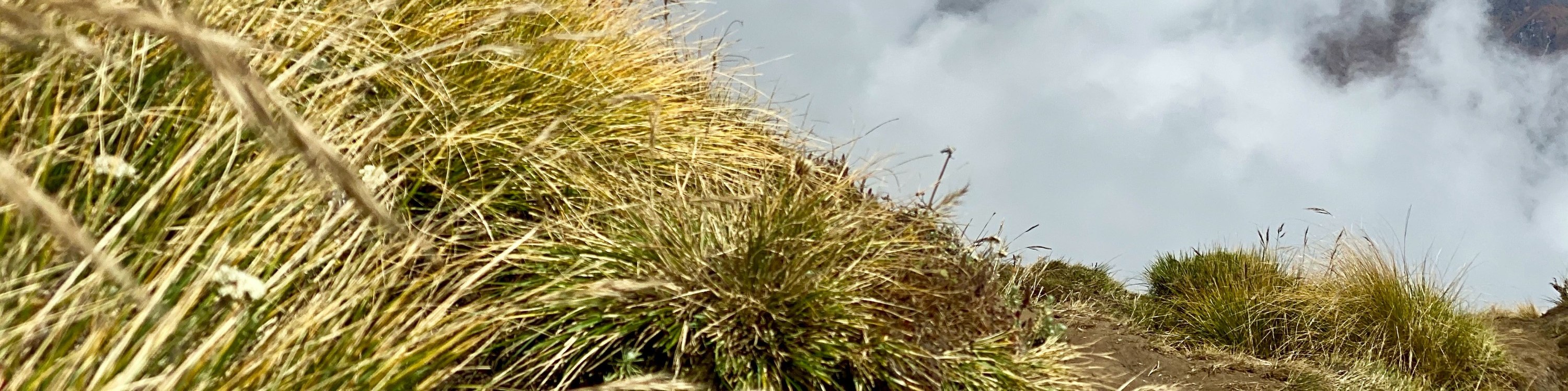 博卡拉：4天馬爾迪喜馬拉雅山徒步之旅