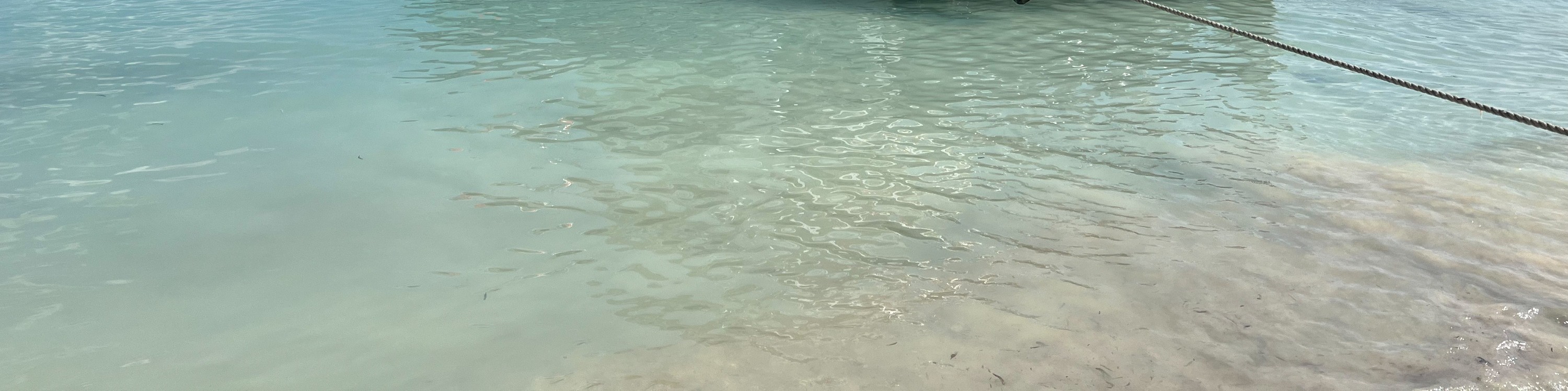藍夢島4個浮潛點體驗