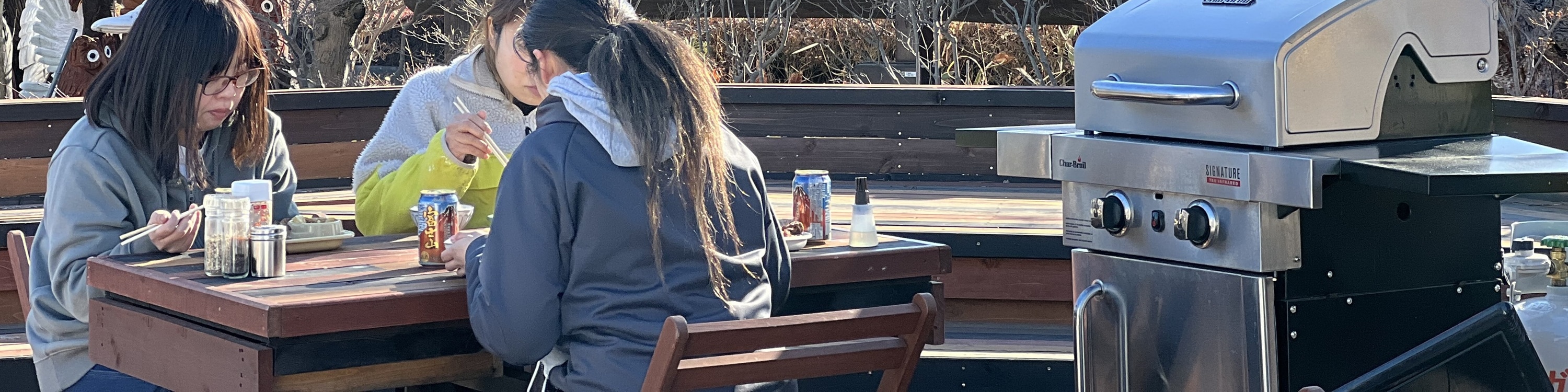 河口湖工藝公園坐落於富士山腳下。天氣晴朗時，整座山的輪廓清晰可見，其白雪皚皚的山頂在陽光下閃閃發光。