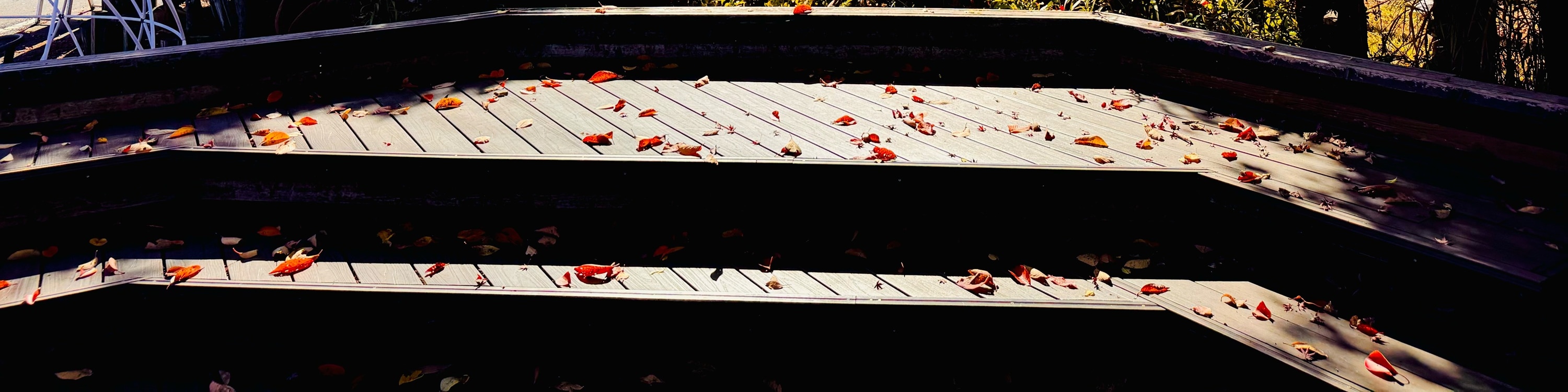 秋天的河口湖工藝公園，世界彷彿沐浴在溫暖的色彩中。楓葉在陽光下閃爍著金黃、橙紅和深紅的層次。微風輕拂，落葉輕輕飄落地面。