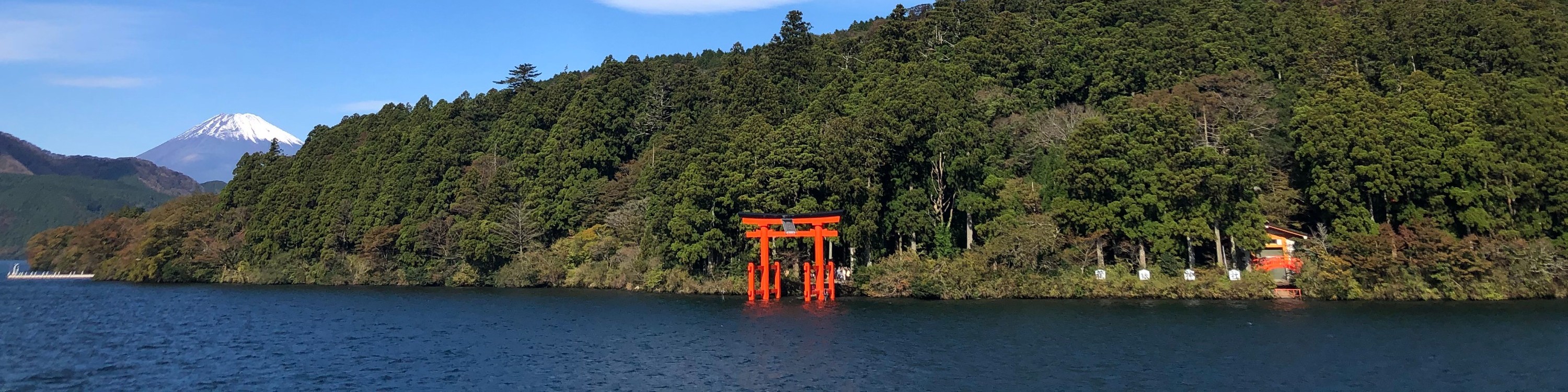 箱根 & 富士遊輪 & 纜車 & 大涌谷一日遊（東京出發）