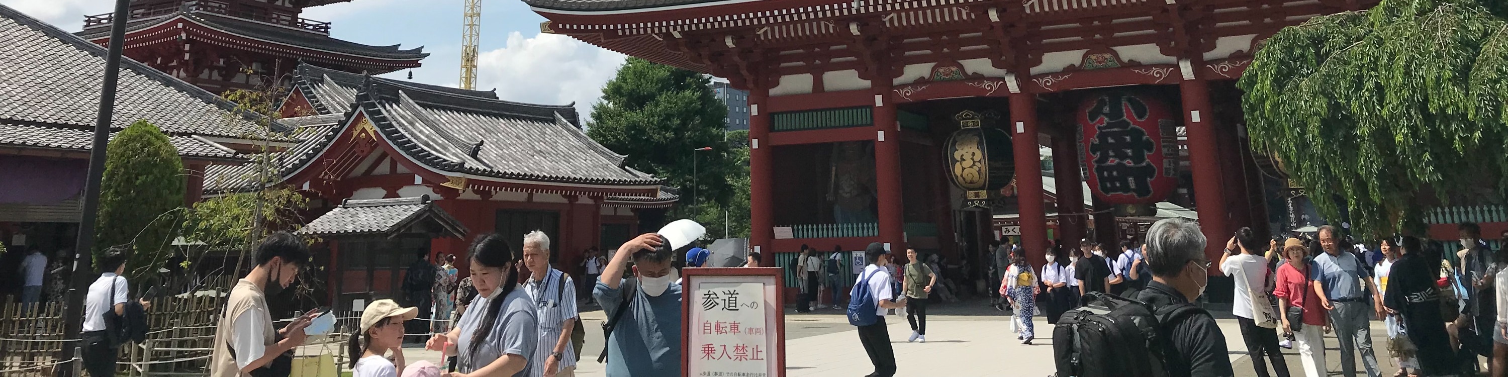 東京下午半日遊（Hato Bus 提供）