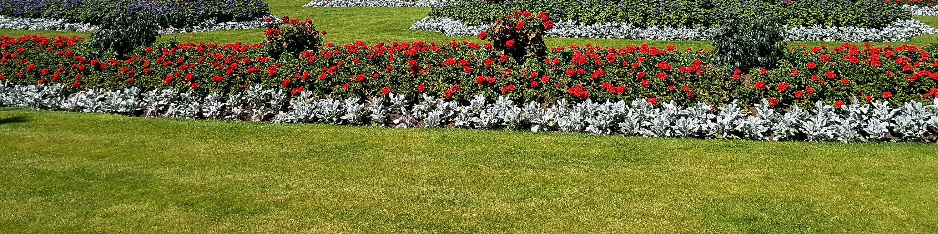 Admire Buckingham Palace