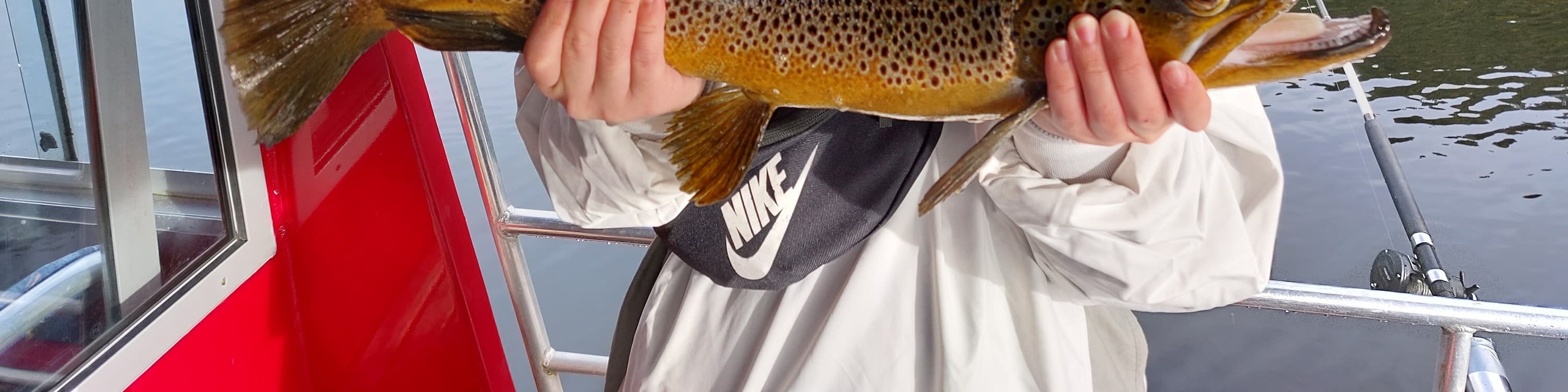 在馬波里卡湖釣棕鱒魚