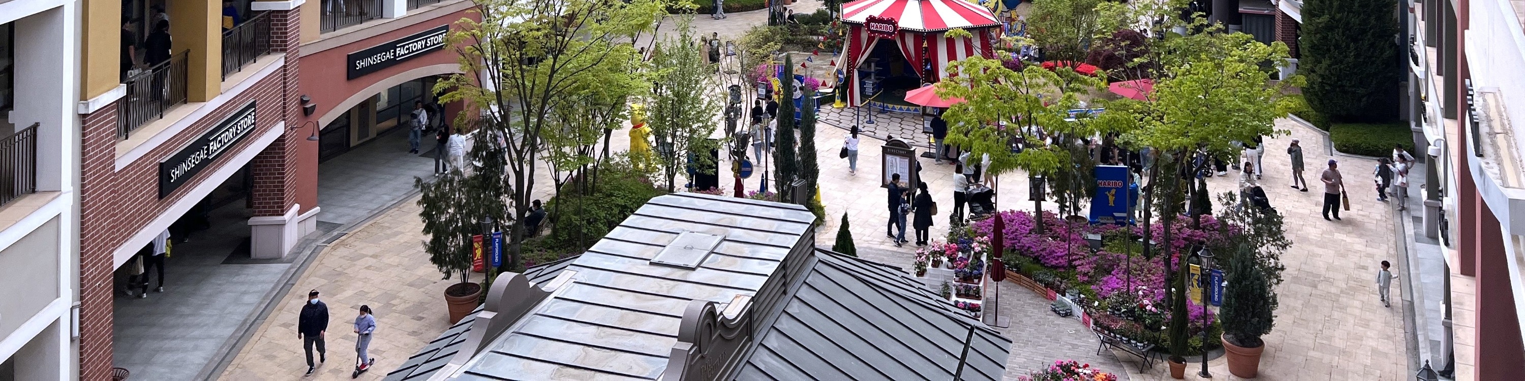 坡州山葡萄農園 & Malddong Donut咖啡廳 & 坡州名牌折扣購物中心一日遊