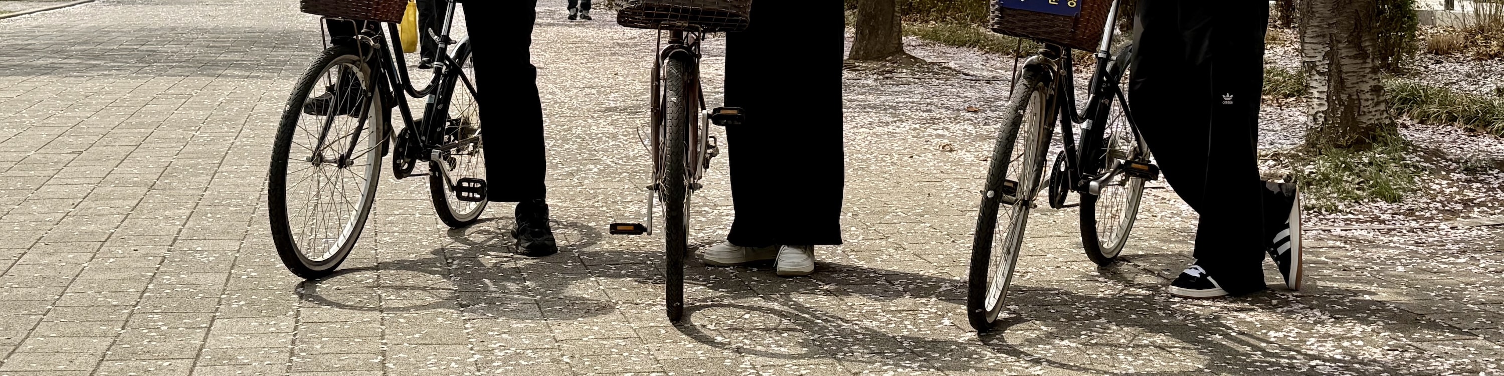 Morning 3-Hour Bike Tour along the Han River - Thumbnail 37