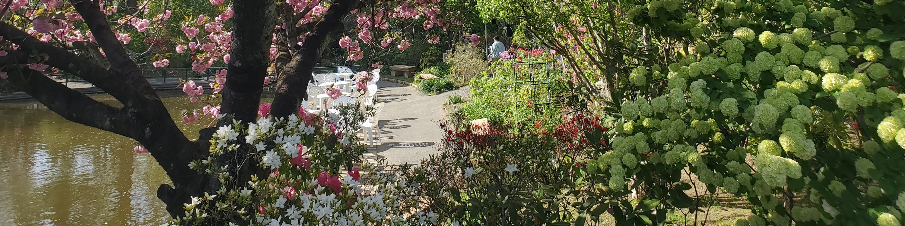 從新宿出發的足利花卉公園和日立海濱公園一日遊