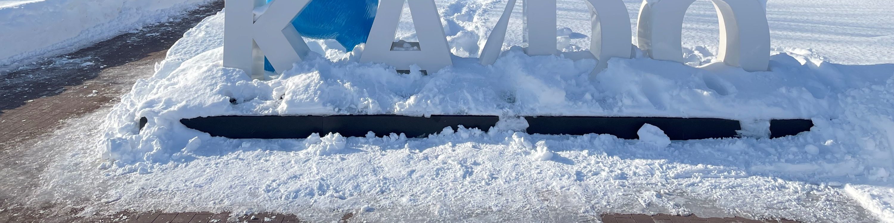 在札幌附近的雪上樂園 F 村體驗首次滑雪和雪橇（含接送服務）