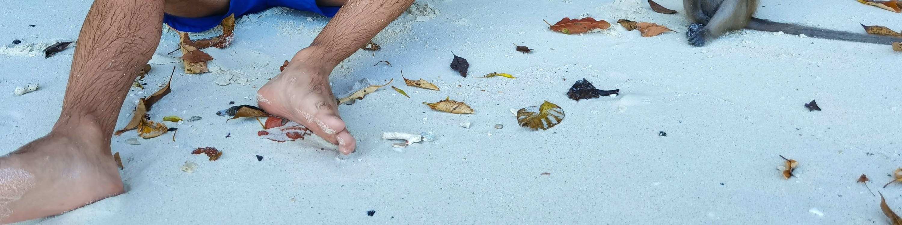 皮皮島 & 瑪雅灣日落快艇之旅（避開人群）