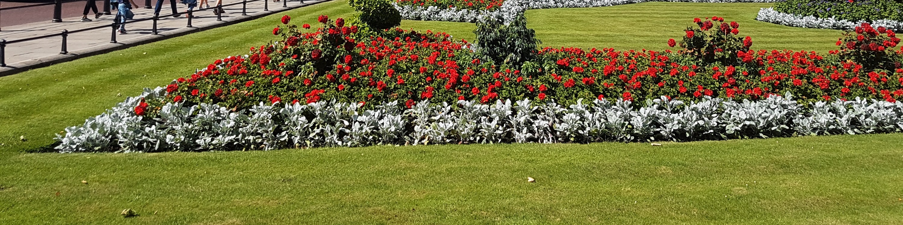Admire Buckingham Palace