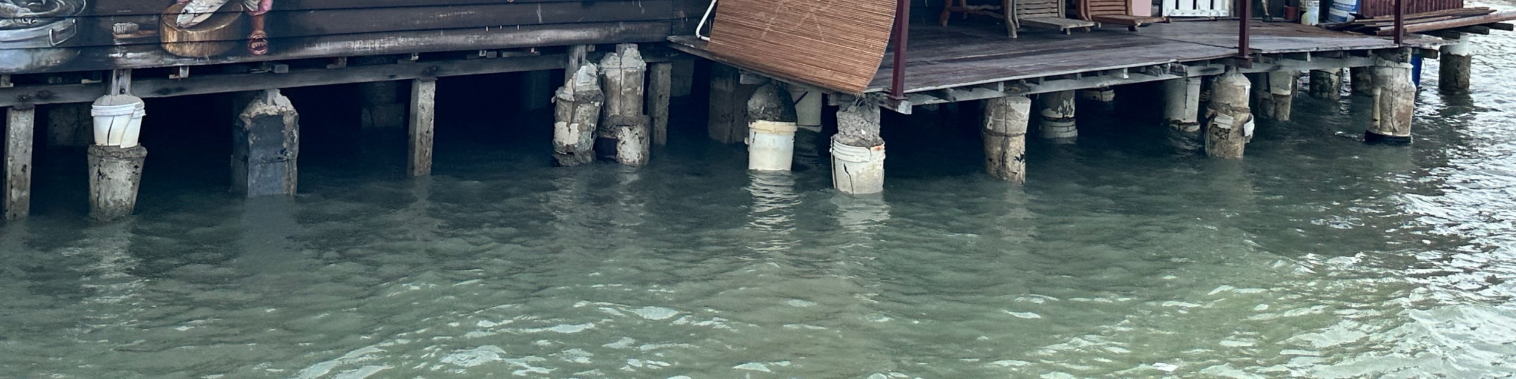 深度探索喬治市