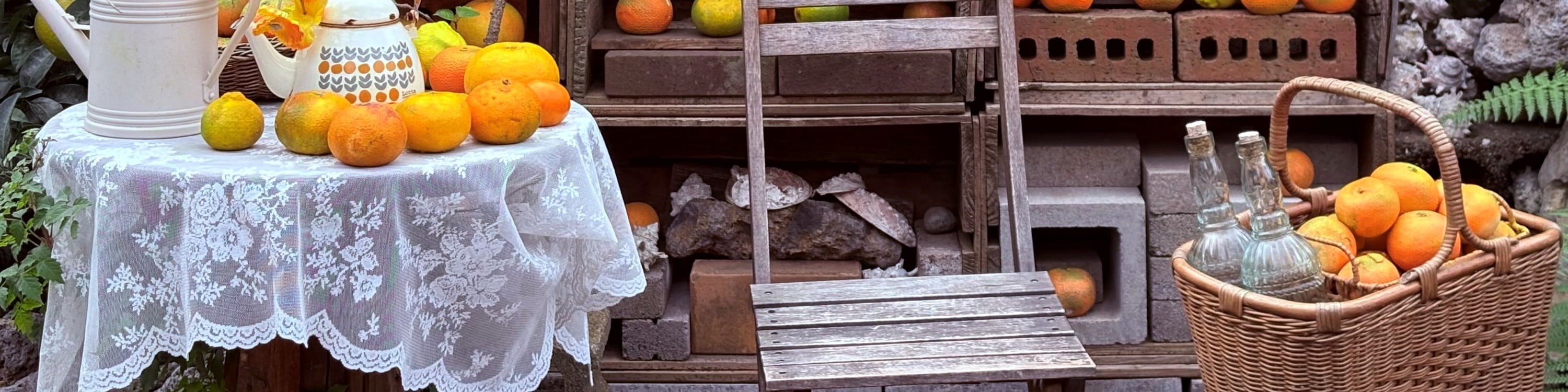 在咖啡館內和周圍的橘子農場,用您的Instagram照片捕捉柑橘風情的懷舊感。 在咖啡館內和周圍的橘子農場,用您的Instagram照片捕捉柑橘風情的懷舊感。