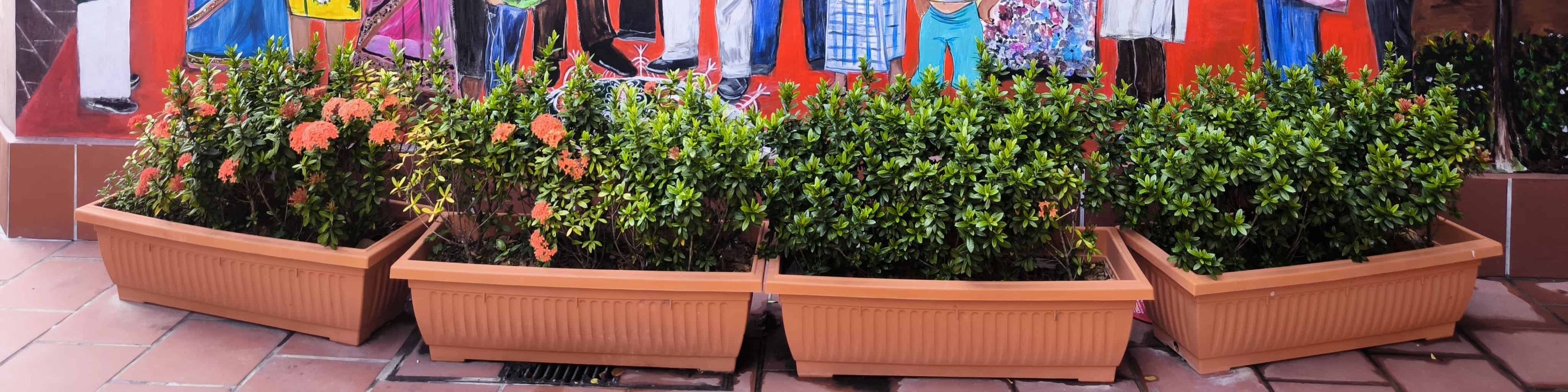 Mural at Little India Singapore