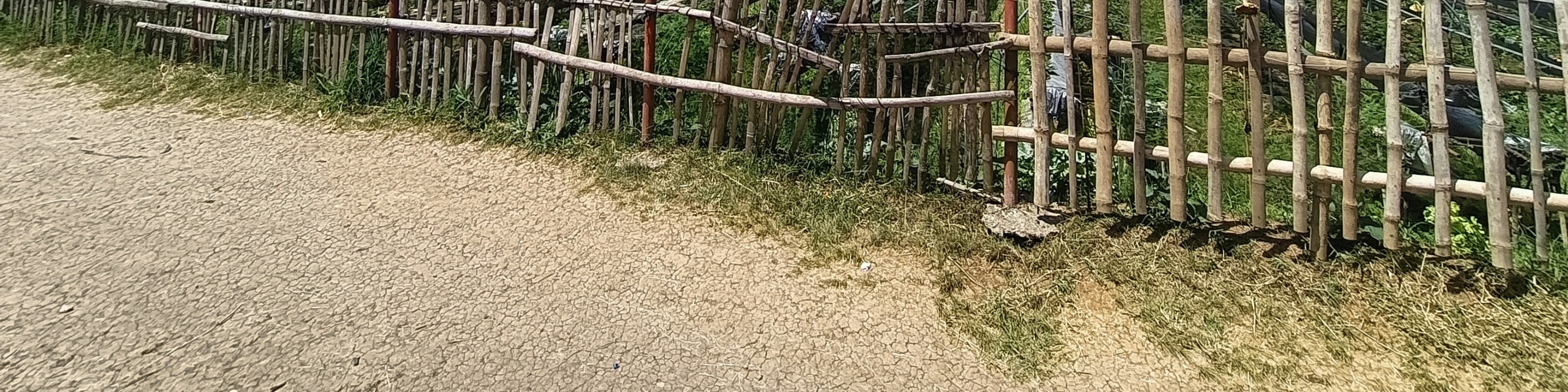 strawberry farm in baguio