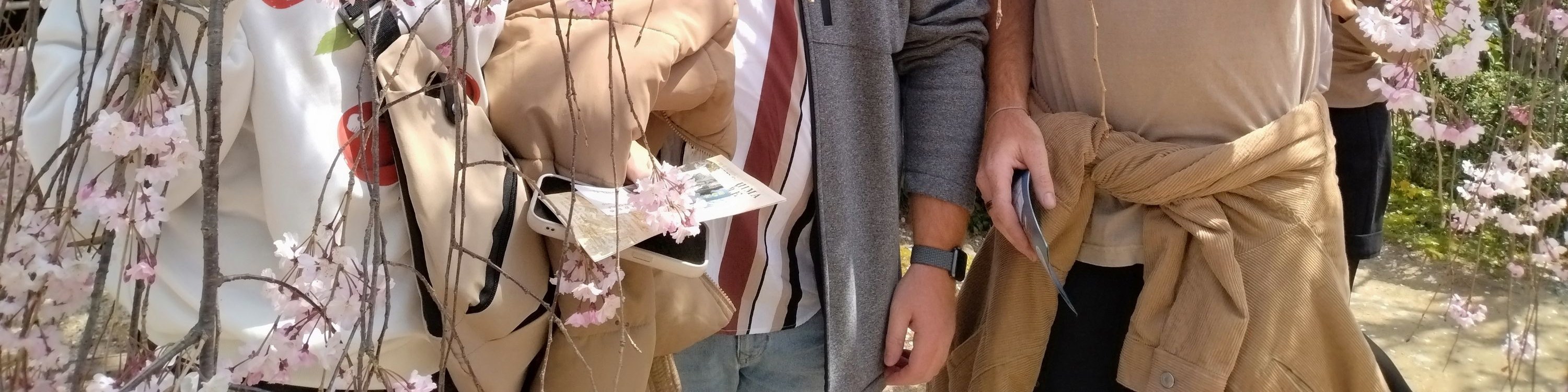 廣島 / 宮島一日私人遊