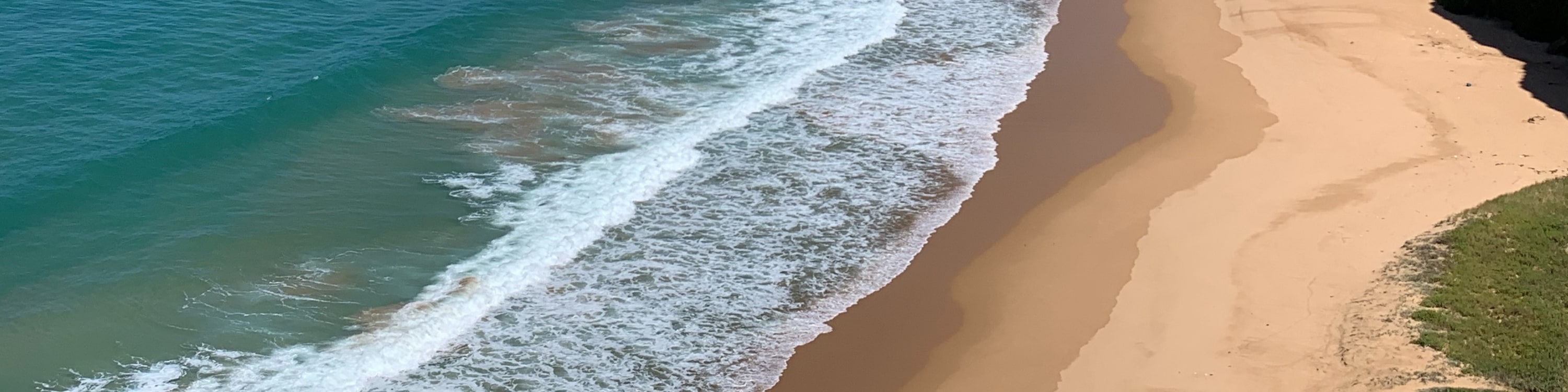 Against the backdrop of the endless ocean expanse and frolicking in the waves