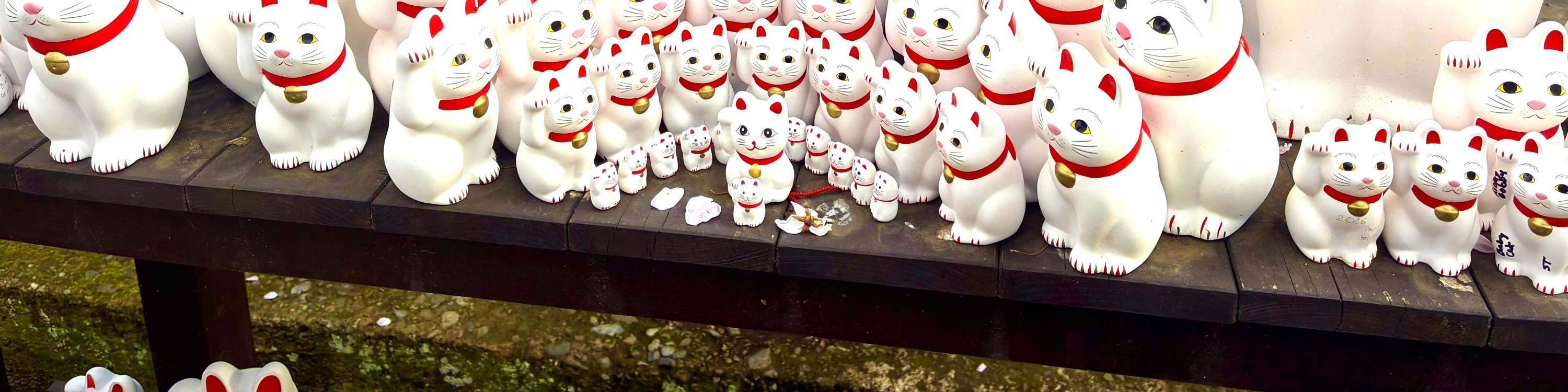 Tokyo Cat Cafe & Gotokuji Temple Half-Day Tour - Thumbnail 24