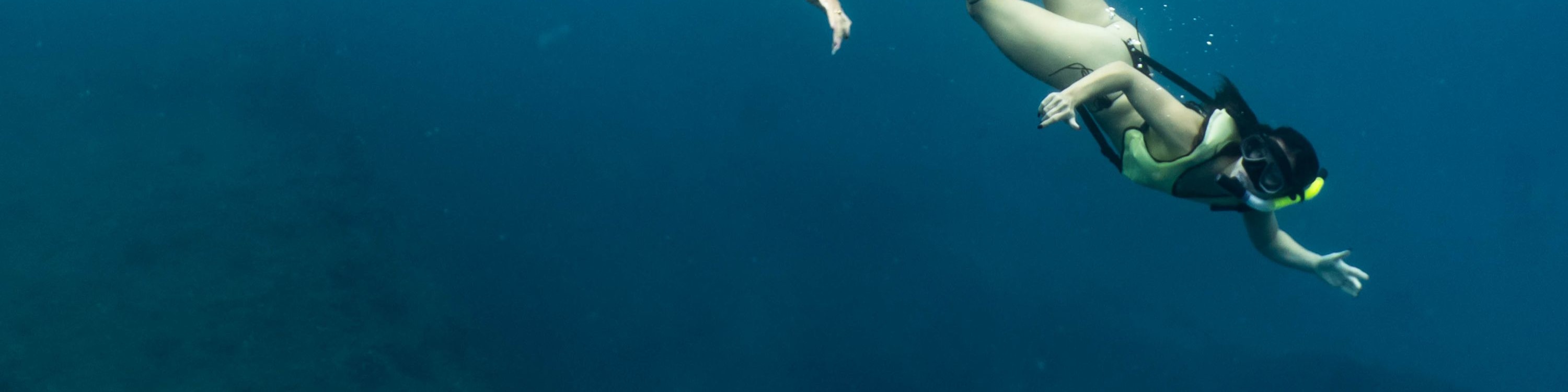 一群浮潛者在柯阿拉凱夸海灣 (Kealakekua Bay) 探索充滿活力的海底世界